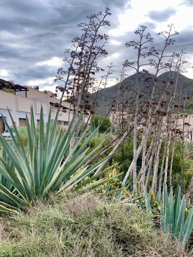 La Pita Del Pozo Leilighet El Pozo de los Frailes Eksteriør bilde